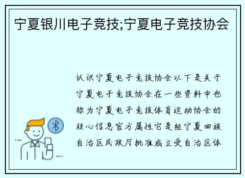宁夏银川电子竞技;宁夏电子竞技协会